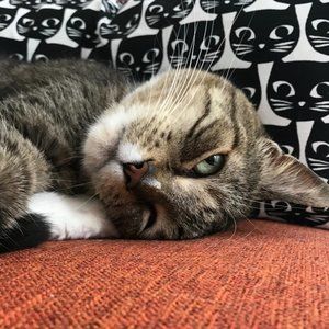 Meet your Posher, Tim